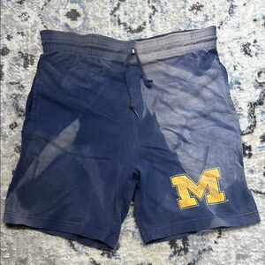 Vintage The Game University of Michigan Block M Shorts Mens Medium Blue NCAA